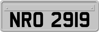 NRO2919
