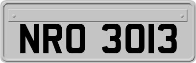 NRO3013