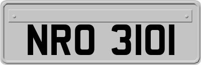 NRO3101