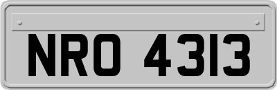NRO4313