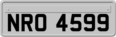 NRO4599
