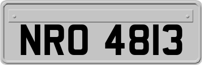 NRO4813