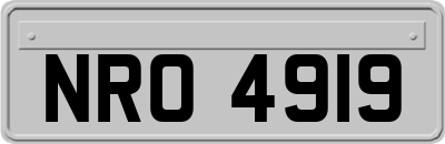 NRO4919