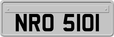 NRO5101