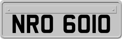NRO6010