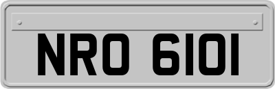 NRO6101