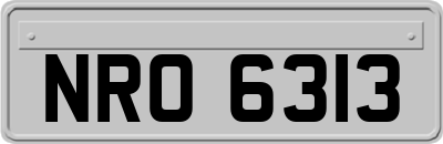 NRO6313
