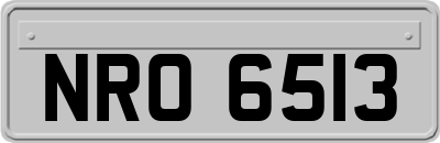 NRO6513