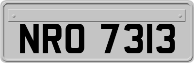 NRO7313