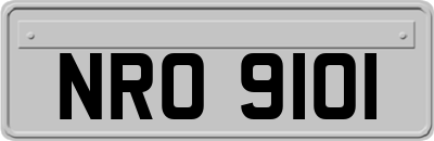 NRO9101