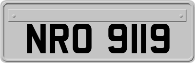 NRO9119