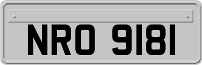 NRO9181