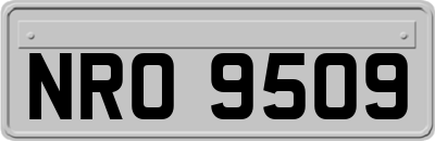 NRO9509