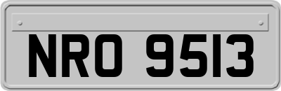 NRO9513
