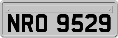 NRO9529