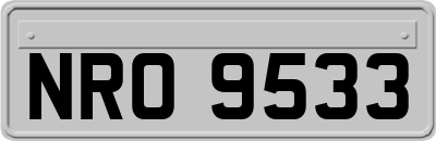 NRO9533