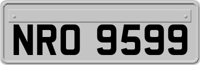 NRO9599