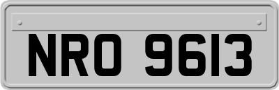 NRO9613