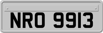 NRO9913