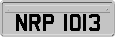 NRP1013