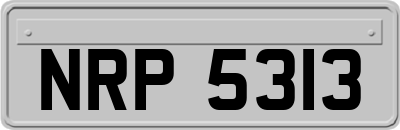 NRP5313