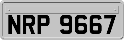 NRP9667