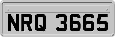NRQ3665