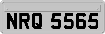 NRQ5565