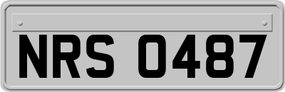NRS0487