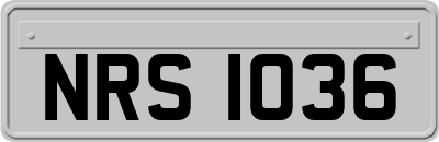 NRS1036