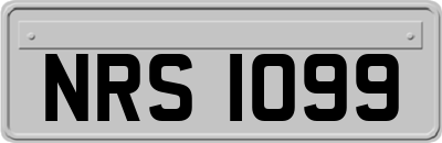 NRS1099