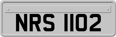 NRS1102