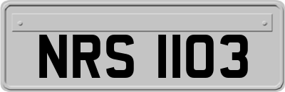 NRS1103