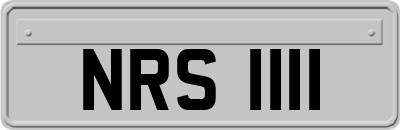 NRS1111