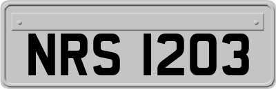 NRS1203