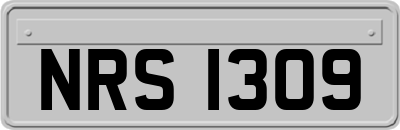 NRS1309