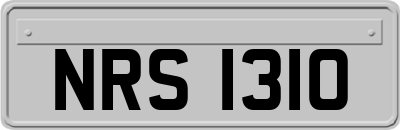 NRS1310