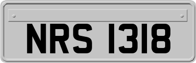NRS1318