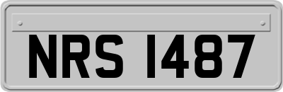 NRS1487