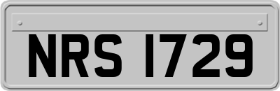 NRS1729