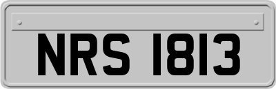 NRS1813