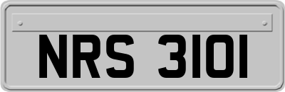 NRS3101