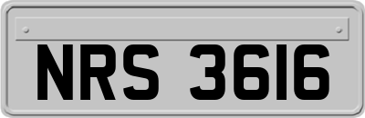 NRS3616