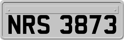 NRS3873