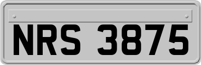 NRS3875