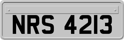 NRS4213