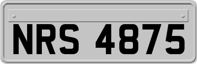 NRS4875