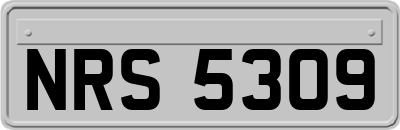 NRS5309
