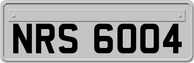NRS6004