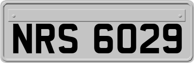 NRS6029